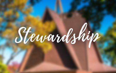 Stewardship Sunday, November 19