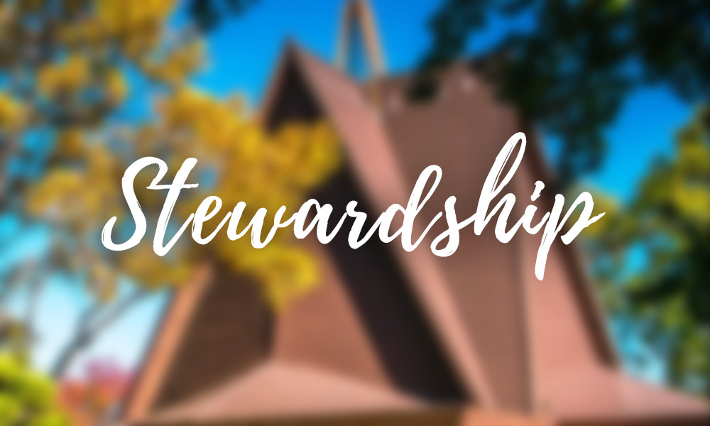 Stewardship Sunday, November 19